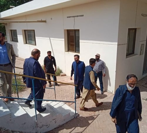 WhatsApp Image 2025-05-20 at 07.21.56_405fa5cf