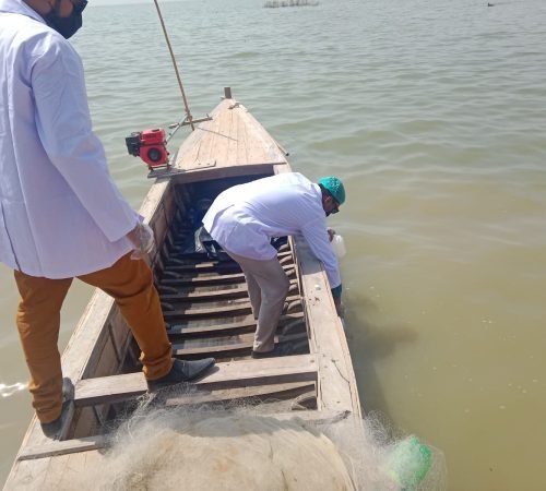 WhatsApp Image 2025-05-20 at 07.23.27_0b3e2f8f