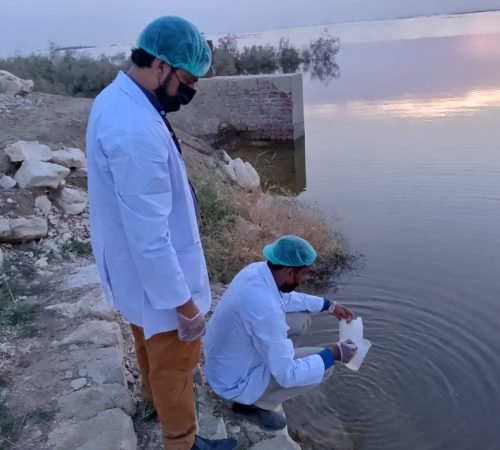 WhatsApp Image 2025-05-20 at 07.23.29_8e577e6c