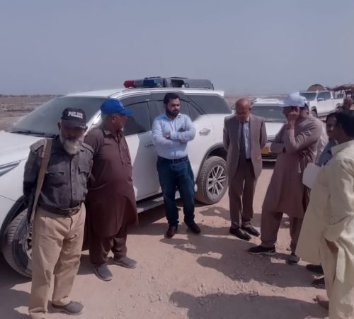 WhatsApp Image 2025-05-20 at 07.23.30_53fedd6c