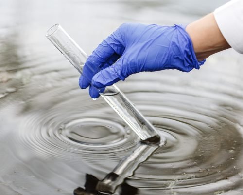 Researcher holds a test tube with water in a hand in blue glove