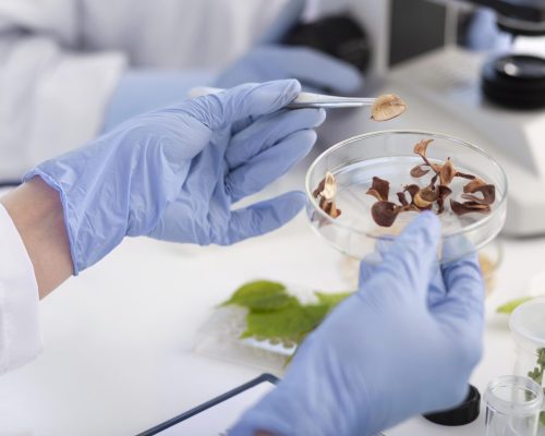scientist-holding-petri-dish-close-up scientist-holding-petri-dish-close-up